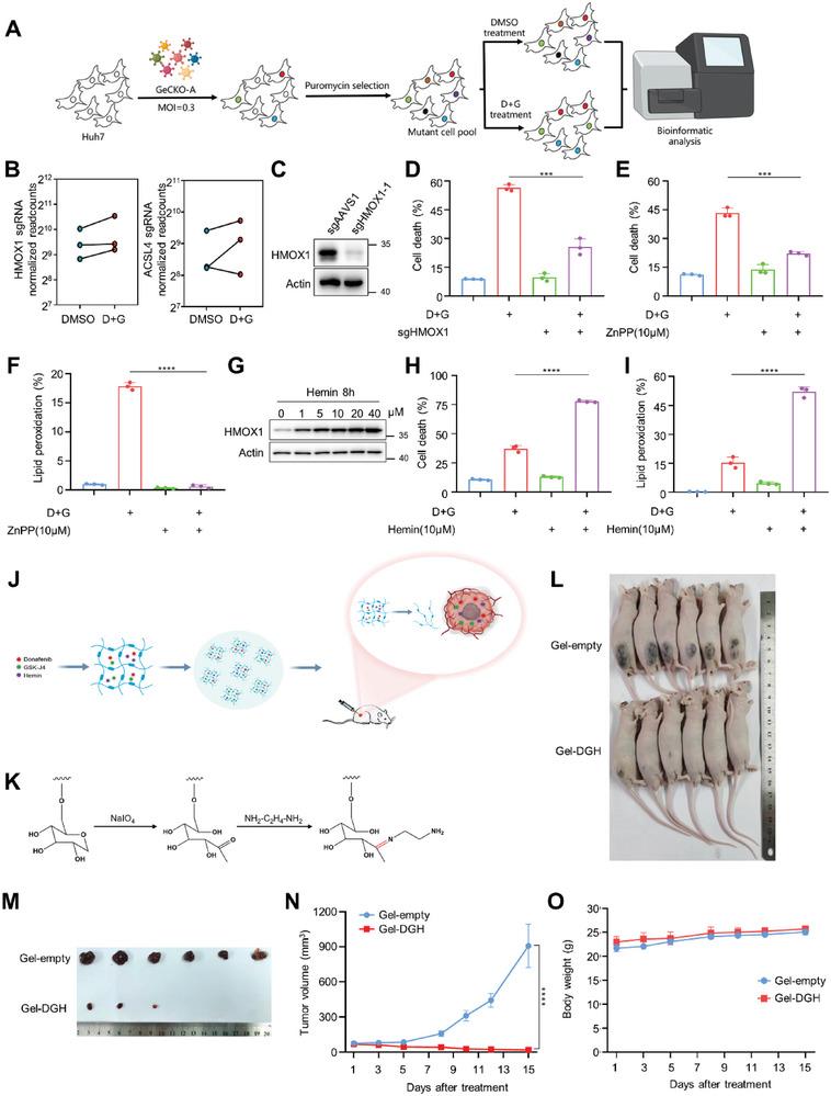 https://cdn.ncbi.nlm.nih.gov/pmc/blobs/e11c/10401117/eb9deb572904/ADVS-10-2206798-g005.jpg