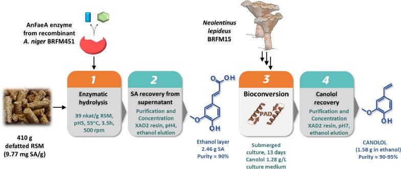https://cdn.ncbi.nlm.nih.gov/pmc/blobs/e11c/10644543/cf9ee78e684e/13068_2023_2425_Fig5_HTML.jpg