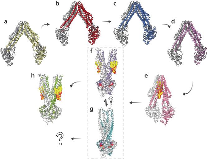 https://cdn.ncbi.nlm.nih.gov/pmc/blobs/e11c/11251056/92ce48f9aaf2/41467_2024_50350_Fig7_HTML.jpg