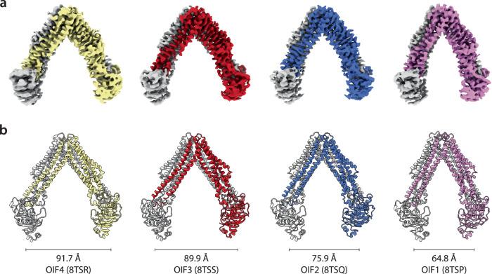 https://cdn.ncbi.nlm.nih.gov/pmc/blobs/e11c/11251056/a69db1419055/41467_2024_50350_Fig5_HTML.jpg