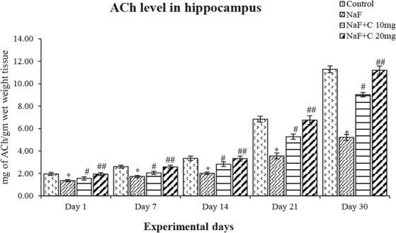 https://cdn.ncbi.nlm.nih.gov/pmc/blobs/e11c/7502194/164f153bac46/BCN-11-289-g004.jpg