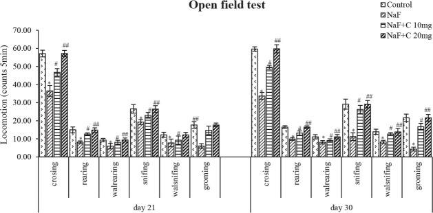 https://cdn.ncbi.nlm.nih.gov/pmc/blobs/e11c/7502194/ce2ca2cd59ff/BCN-11-289-g003.jpg