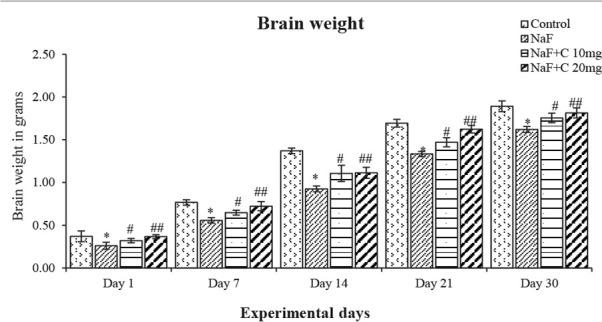 https://cdn.ncbi.nlm.nih.gov/pmc/blobs/e11c/7502194/efe26b6ca354/BCN-11-289-g002.jpg