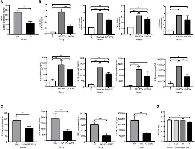 https://cdn.ncbi.nlm.nih.gov/pmc/blobs/e11d/8866190/0ad18ba20e51/fimmu-13-824278-g007.jpg