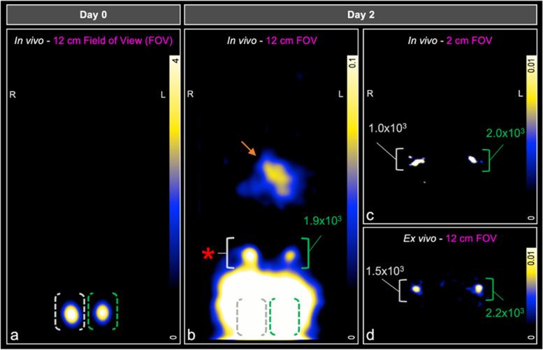 https://cdn.ncbi.nlm.nih.gov/pmc/blobs/e11e/10425309/346017e64be9/41747_2023_359_Fig5_HTML.jpg