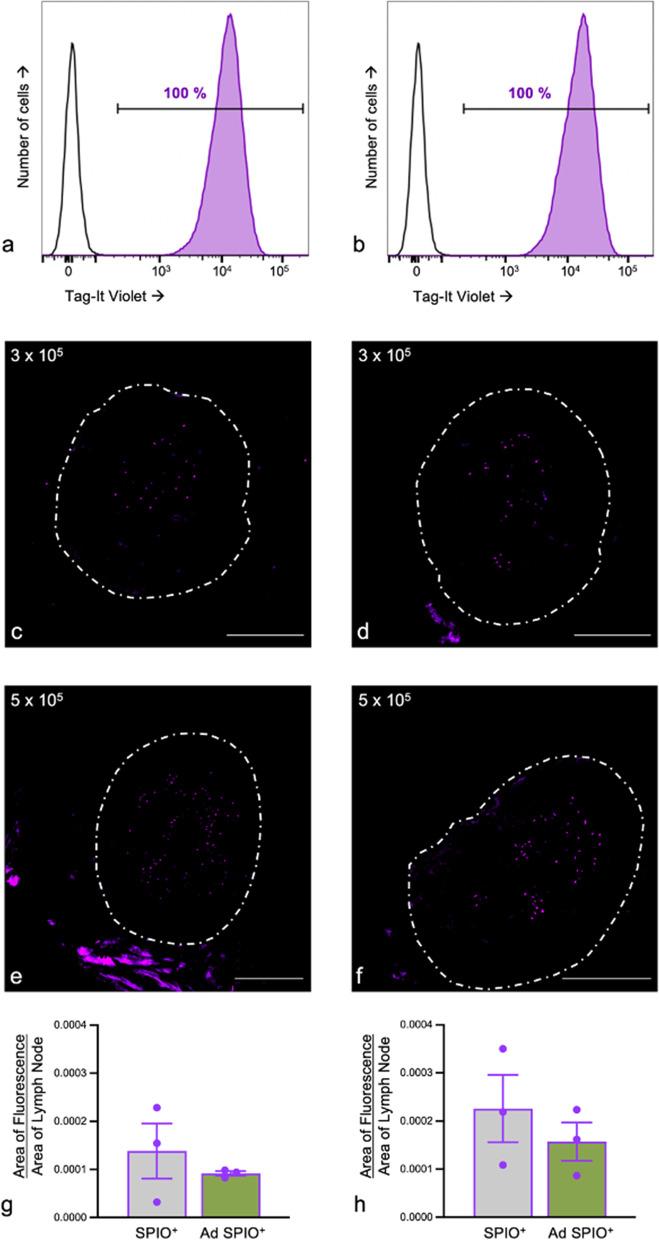 https://cdn.ncbi.nlm.nih.gov/pmc/blobs/e11e/10425309/987d80eb9208/41747_2023_359_Fig7_HTML.jpg