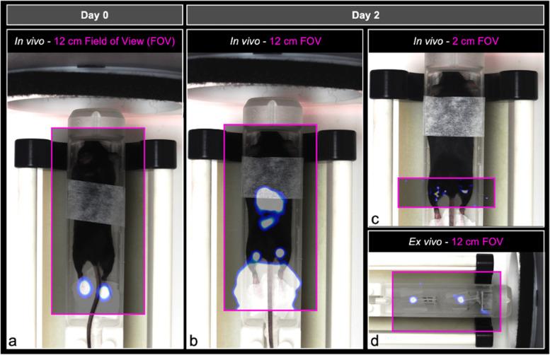 https://cdn.ncbi.nlm.nih.gov/pmc/blobs/e11e/10425309/a4a97c16ecfa/41747_2023_359_Fig4_HTML.jpg