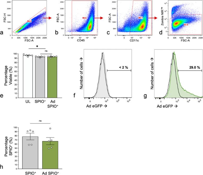 https://cdn.ncbi.nlm.nih.gov/pmc/blobs/e11e/10425309/bce3c9119506/41747_2023_359_Fig2_HTML.jpg
