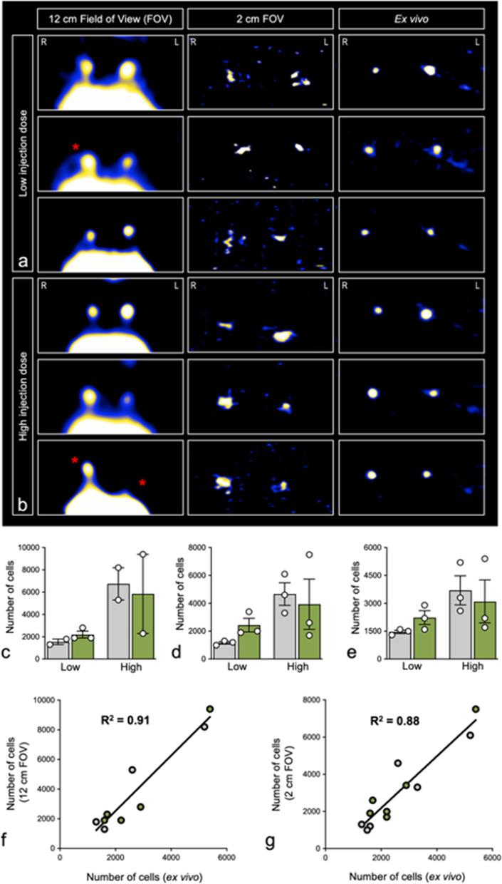 https://cdn.ncbi.nlm.nih.gov/pmc/blobs/e11e/10425309/ecbf494ad3c7/41747_2023_359_Fig6_HTML.jpg