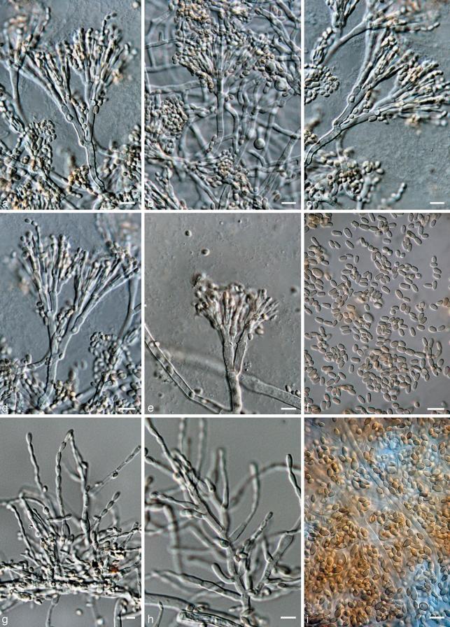 https://cdn.ncbi.nlm.nih.gov/pmc/blobs/e11e/2789542/2a3251c1d122/per-22-14-g007.jpg