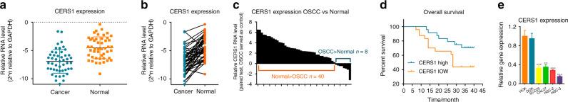 https://cdn.ncbi.nlm.nih.gov/pmc/blobs/e11e/7985500/bb7921155099/41368_2021_118_Fig1_HTML.jpg