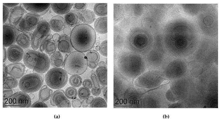 https://cdn.ncbi.nlm.nih.gov/pmc/blobs/e11f/8150765/cc67921068d5/antioxidants-10-00768-g003.jpg