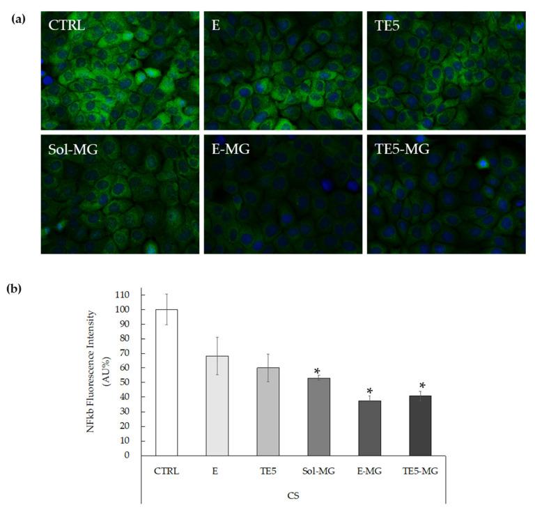 https://cdn.ncbi.nlm.nih.gov/pmc/blobs/e11f/8150765/e436a231496a/antioxidants-10-00768-g007.jpg