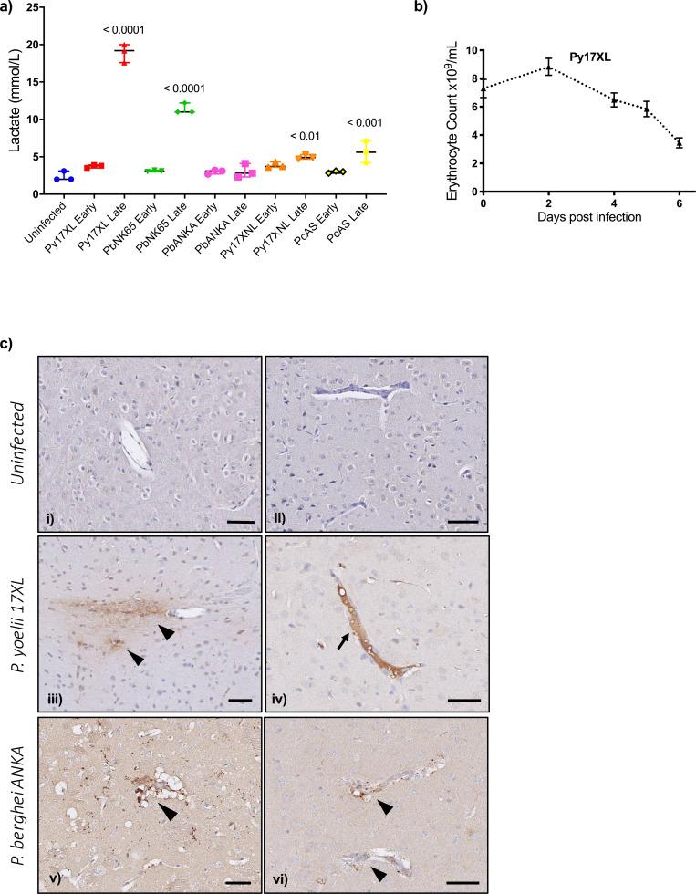 https://cdn.ncbi.nlm.nih.gov/pmc/blobs/e11f/8747512/0c81421c29ab/elife-70763-fig5.jpg
