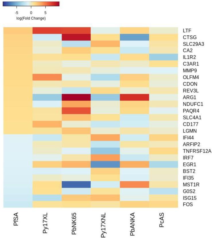 https://cdn.ncbi.nlm.nih.gov/pmc/blobs/e11f/8747512/0ceed63413b4/elife-70763-fig4-figsupp3.jpg