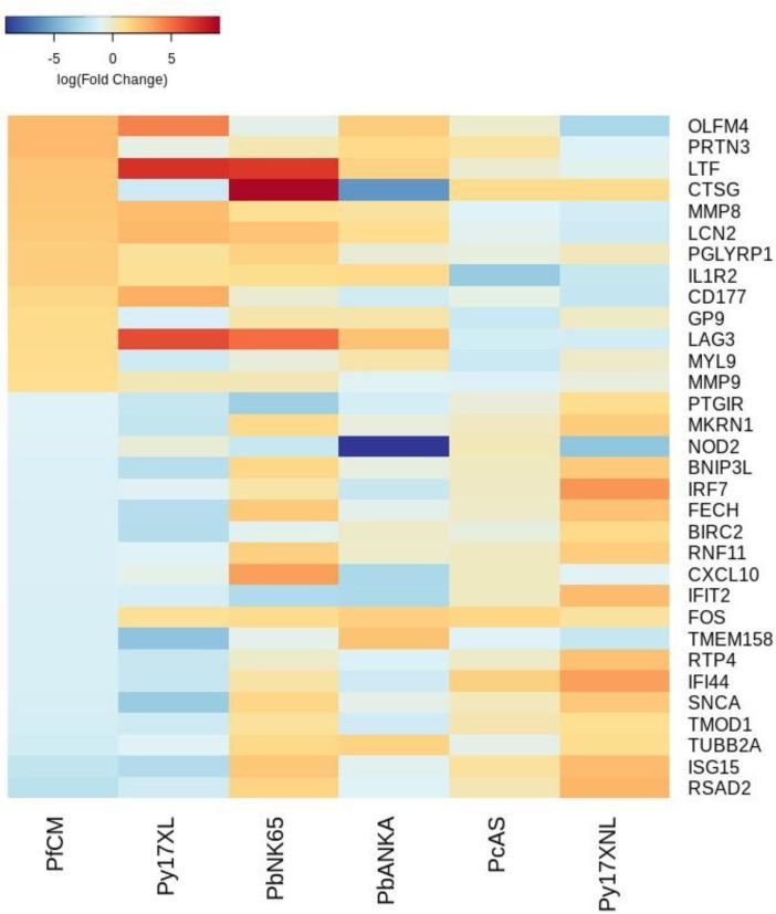 https://cdn.ncbi.nlm.nih.gov/pmc/blobs/e11f/8747512/10f8a98e80ad/elife-70763-fig4-figsupp1.jpg
