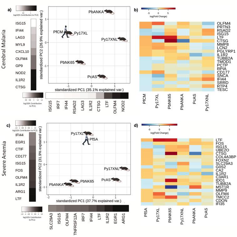 https://cdn.ncbi.nlm.nih.gov/pmc/blobs/e11f/8747512/166974512306/elife-70763-fig4.jpg