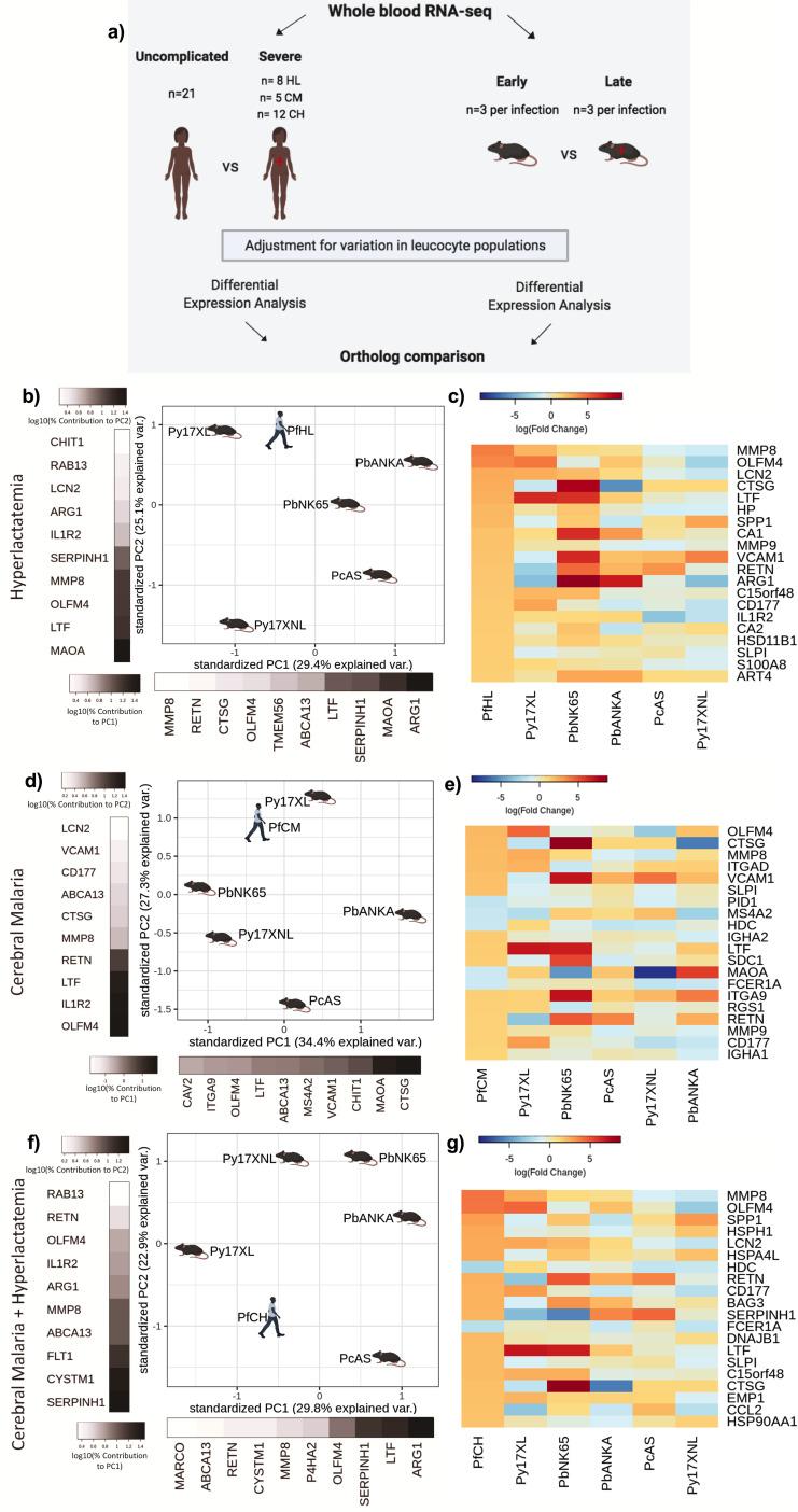 https://cdn.ncbi.nlm.nih.gov/pmc/blobs/e11f/8747512/317266b02272/elife-70763-fig3.jpg