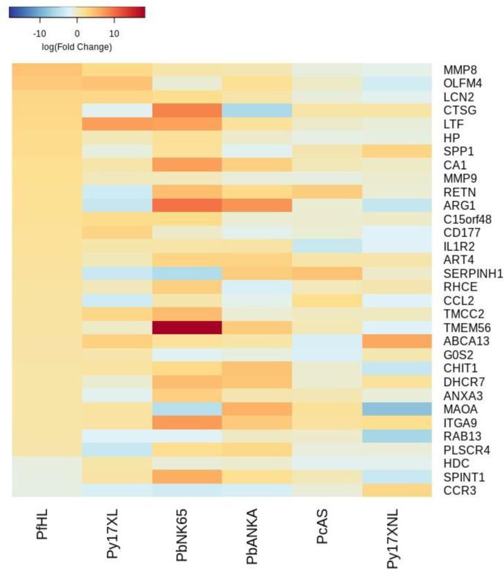 https://cdn.ncbi.nlm.nih.gov/pmc/blobs/e11f/8747512/4c111e1171fc/elife-70763-fig3-figsupp1.jpg
