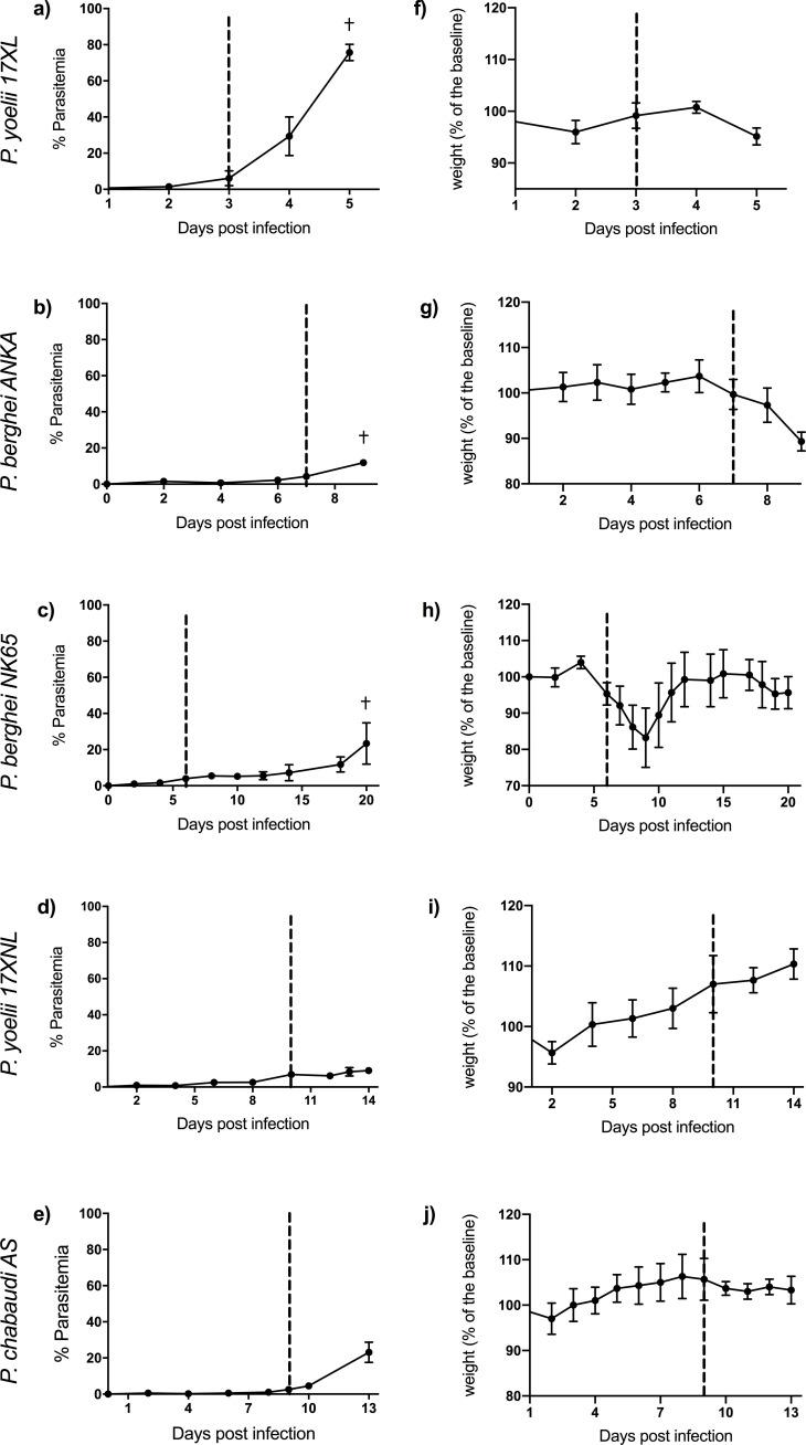 https://cdn.ncbi.nlm.nih.gov/pmc/blobs/e11f/8747512/59337e82cc3f/elife-70763-fig1.jpg