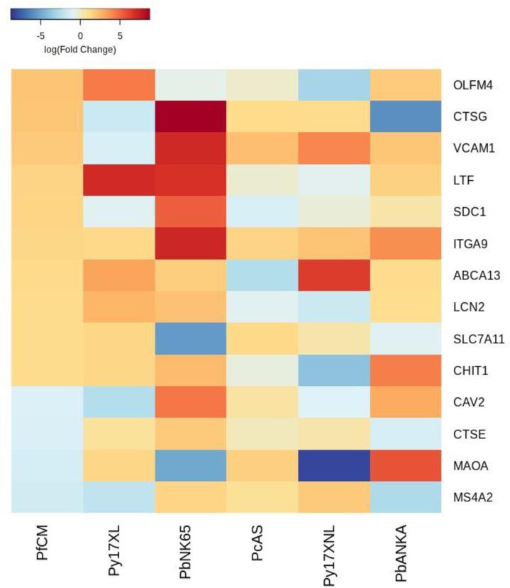 https://cdn.ncbi.nlm.nih.gov/pmc/blobs/e11f/8747512/6977e933dce0/elife-70763-fig3-figsupp3.jpg