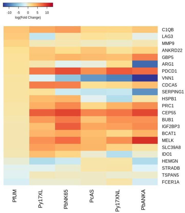 https://cdn.ncbi.nlm.nih.gov/pmc/blobs/e11f/8747512/8407a66da020/elife-70763-fig2-figsupp2.jpg
