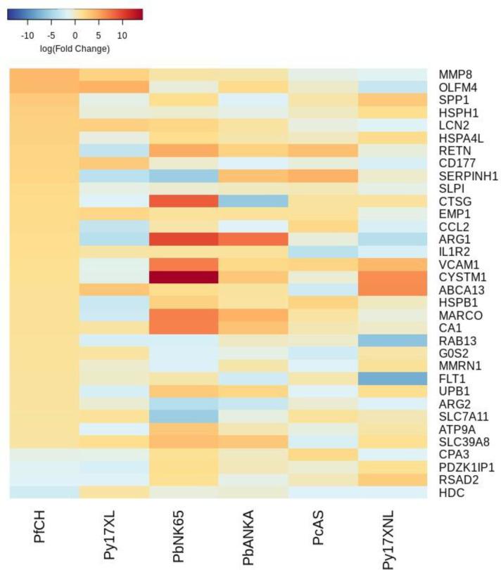 https://cdn.ncbi.nlm.nih.gov/pmc/blobs/e11f/8747512/9019fc124711/elife-70763-fig3-figsupp6.jpg