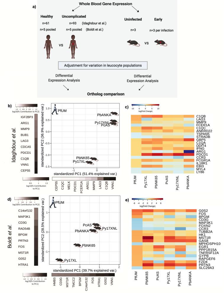 https://cdn.ncbi.nlm.nih.gov/pmc/blobs/e11f/8747512/94485fbde959/elife-70763-fig2.jpg