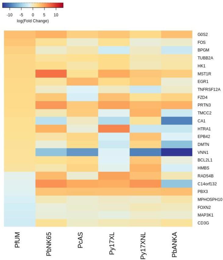 https://cdn.ncbi.nlm.nih.gov/pmc/blobs/e11f/8747512/97d76bd16677/elife-70763-fig2-figsupp3.jpg