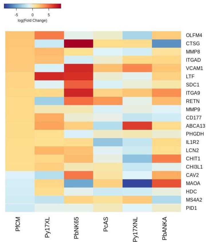 https://cdn.ncbi.nlm.nih.gov/pmc/blobs/e11f/8747512/cecc324cba11/elife-70763-fig3-figsupp4.jpg