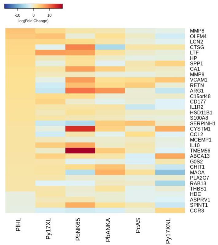 https://cdn.ncbi.nlm.nih.gov/pmc/blobs/e11f/8747512/dc62c3f59907/elife-70763-fig3-figsupp2.jpg