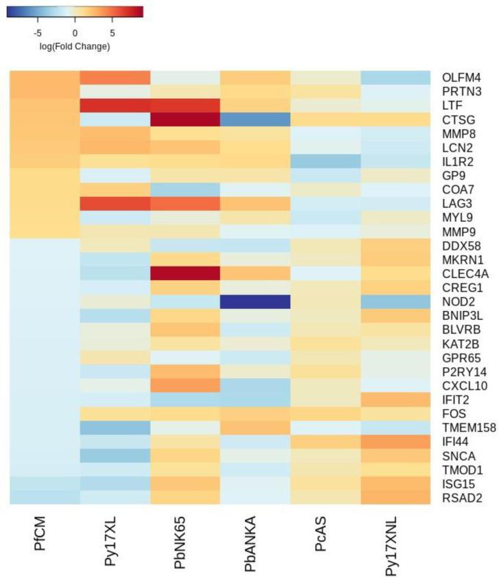 https://cdn.ncbi.nlm.nih.gov/pmc/blobs/e11f/8747512/e029b50ce488/elife-70763-fig4-figsupp2.jpg
