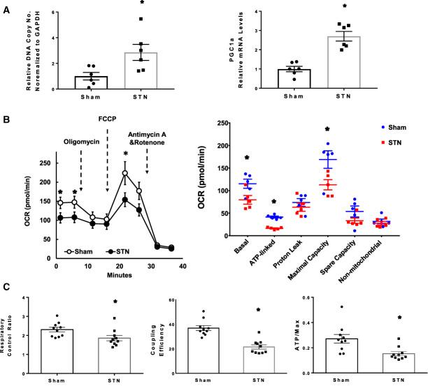 https://cdn.ncbi.nlm.nih.gov/pmc/blobs/e121/10476685/2cbc96213e74/kidney360-4-1080-g007.jpg