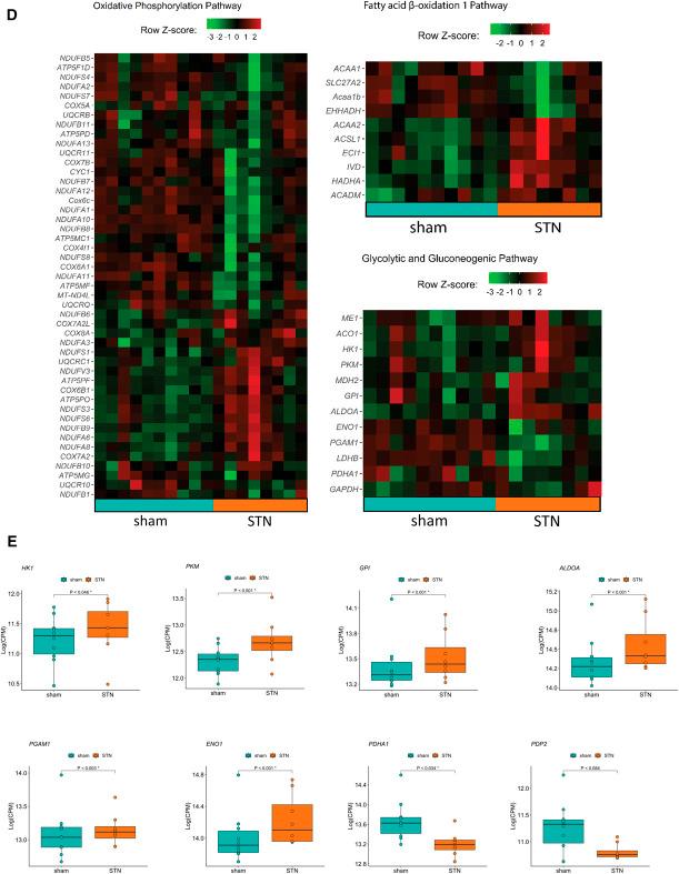 https://cdn.ncbi.nlm.nih.gov/pmc/blobs/e121/10476685/8a9ab5308b2d/kidney360-4-1080-g004.jpg