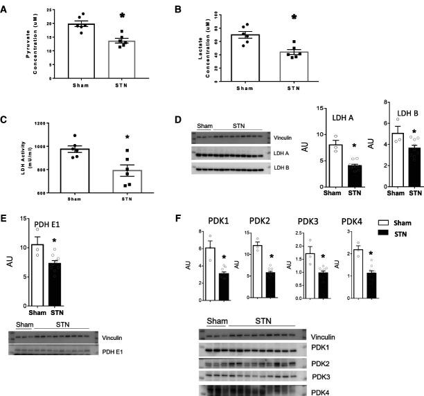 https://cdn.ncbi.nlm.nih.gov/pmc/blobs/e121/10476685/c4a2ceb3d6cd/kidney360-4-1080-g006.jpg