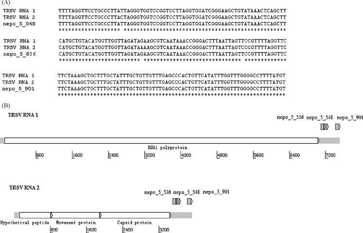 https://cdn.ncbi.nlm.nih.gov/pmc/blobs/e121/7112823/f9e15a292725/gr3.jpg