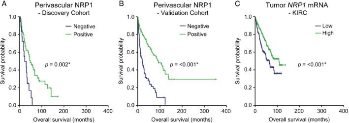 https://cdn.ncbi.nlm.nih.gov/pmc/blobs/e123/7155095/9f8618d7ba36/PATH-250-387-g003.jpg