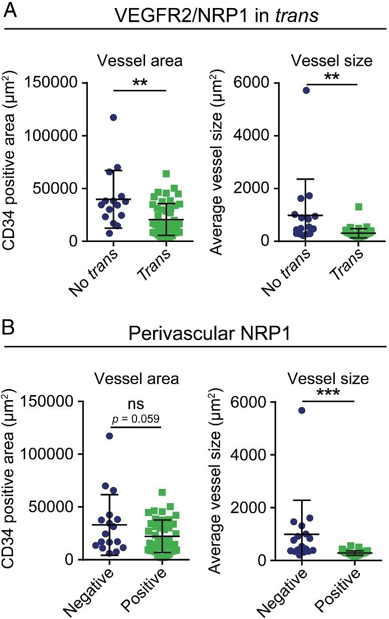 https://cdn.ncbi.nlm.nih.gov/pmc/blobs/e123/7155095/d96a27253196/PATH-250-387-g002.jpg