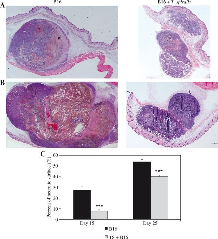 https://cdn.ncbi.nlm.nih.gov/pmc/blobs/e124/4472539/677229892989/CEJI-40-50832-g003.jpg