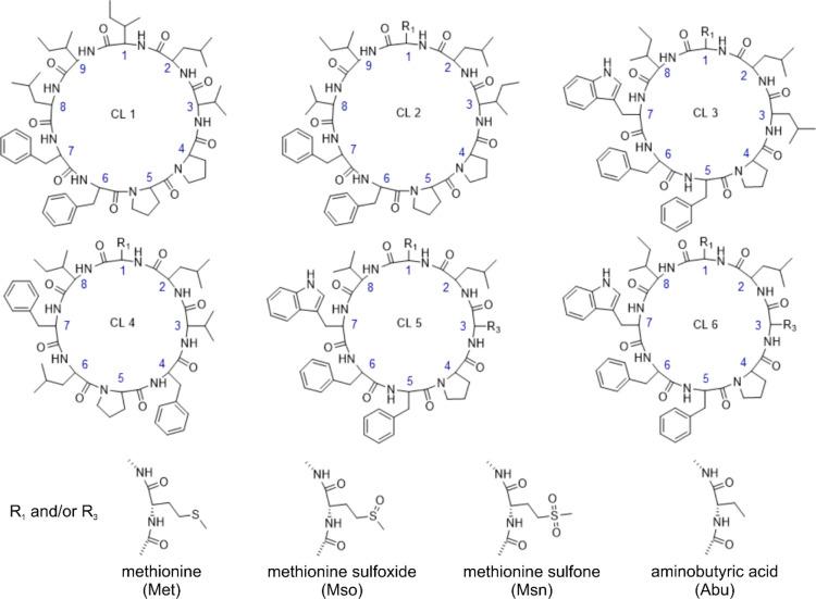 https://cdn.ncbi.nlm.nih.gov/pmc/blobs/e124/9011397/942c4474e935/jf2c00976_0003.jpg