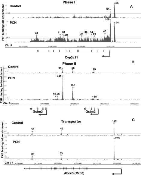 https://cdn.ncbi.nlm.nih.gov/pmc/blobs/e126/3001051/707157eac1e9/gkq654f6.jpg