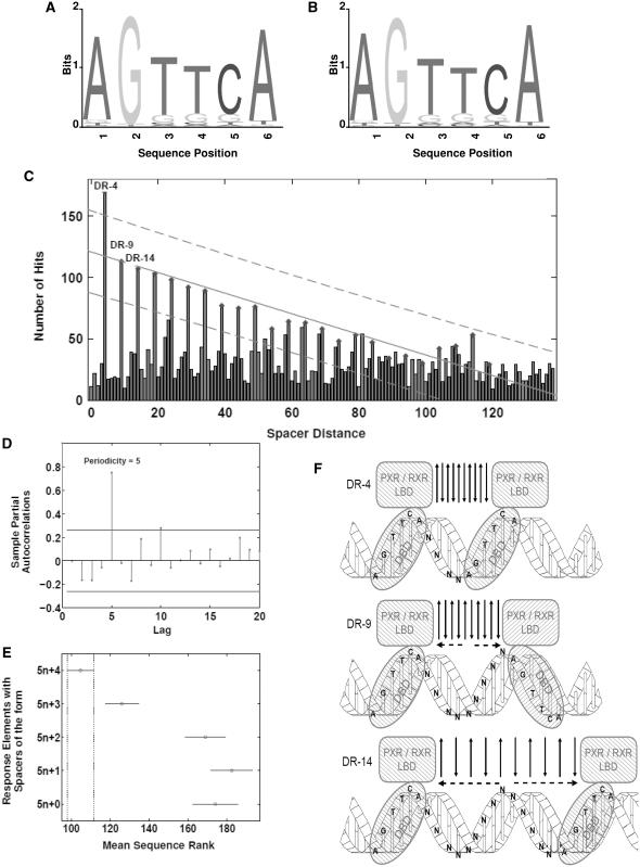 https://cdn.ncbi.nlm.nih.gov/pmc/blobs/e126/3001051/f070b3070939/gkq654f3.jpg