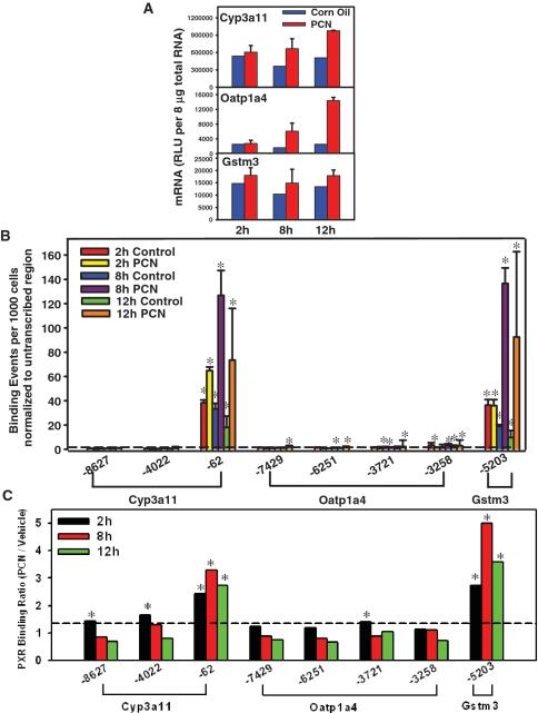 https://cdn.ncbi.nlm.nih.gov/pmc/blobs/e126/3001051/f27d4ea61e13/gkq654f1.jpg