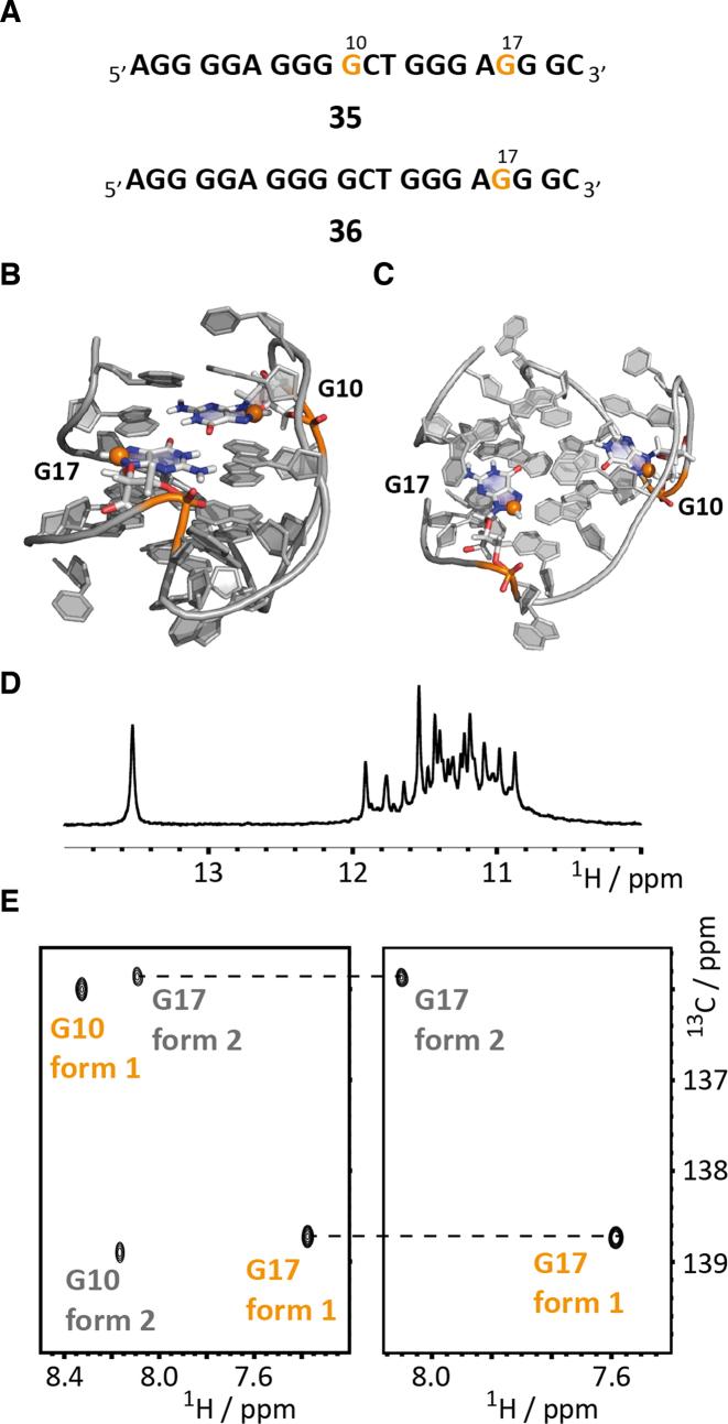 https://cdn.ncbi.nlm.nih.gov/pmc/blobs/e127/5587810/b6b9f891eb34/gkx592fig5.jpg