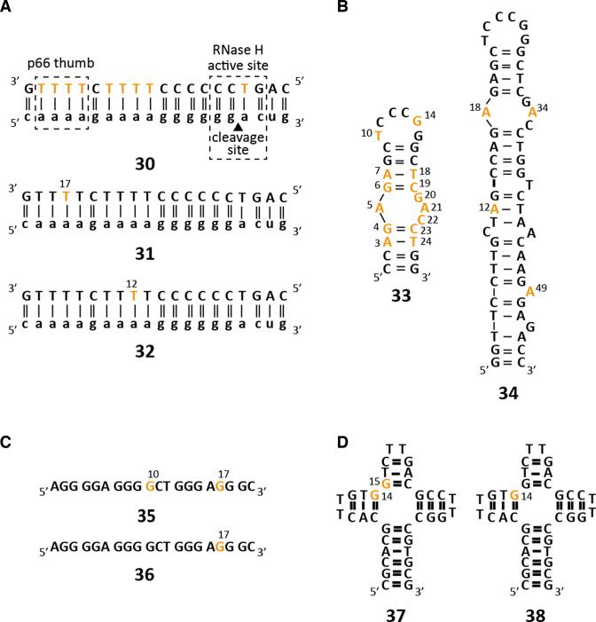 https://cdn.ncbi.nlm.nih.gov/pmc/blobs/e127/5587810/ccb40317ad1a/gkx592fig1.jpg