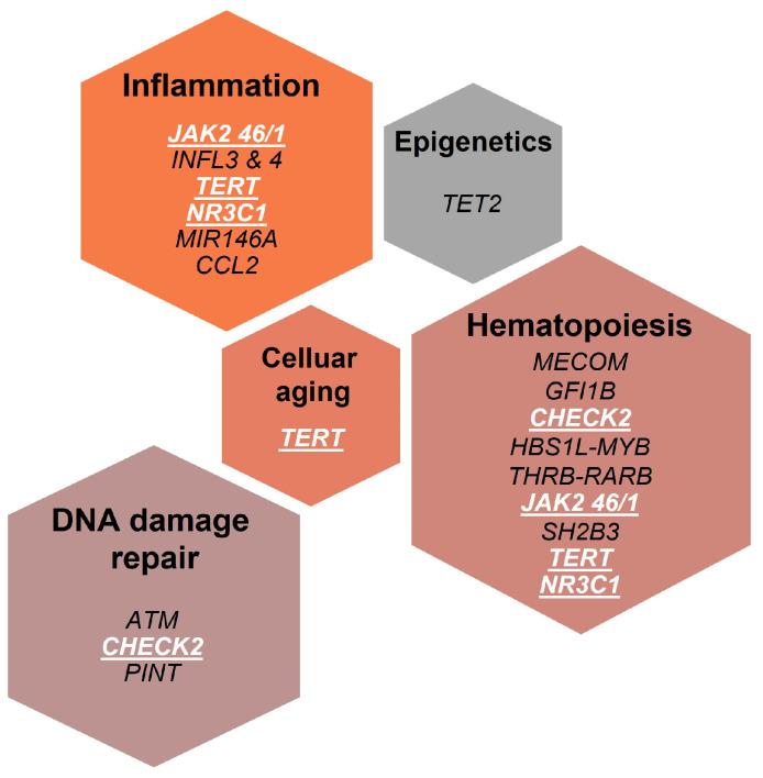 https://cdn.ncbi.nlm.nih.gov/pmc/blobs/e128/8534117/4e7a5ebfc51b/cells-10-02597-g001.jpg