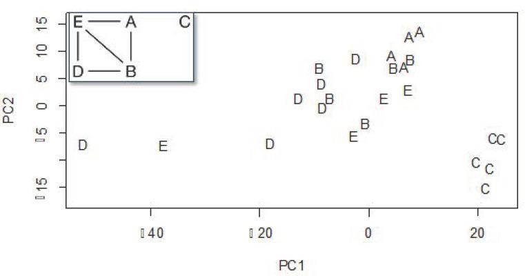 https://cdn.ncbi.nlm.nih.gov/pmc/blobs/e129/8950720/a263791b79d6/insects-13-00239-g002.jpg