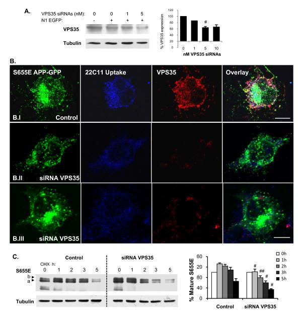 https://cdn.ncbi.nlm.nih.gov/pmc/blobs/e12a/2994555/11f48638c378/1750-1326-5-40-8.jpg