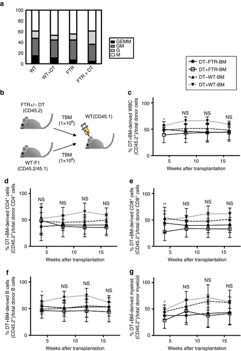 https://cdn.ncbi.nlm.nih.gov/pmc/blobs/e12a/5436085/7ff56b2cdee2/ncomms15068-f2.jpg