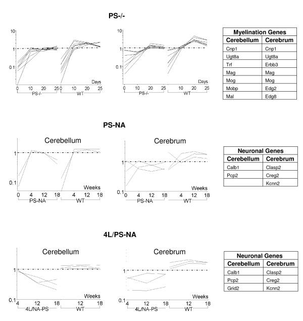https://cdn.ncbi.nlm.nih.gov/pmc/blobs/e12b/2518924/d31b287b8bbe/1471-2202-9-76-6.jpg